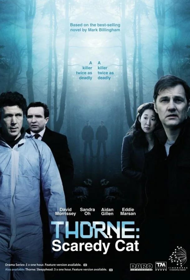 Смотреть Сериал Торн: Пуганая ворона(2010) бесплатно