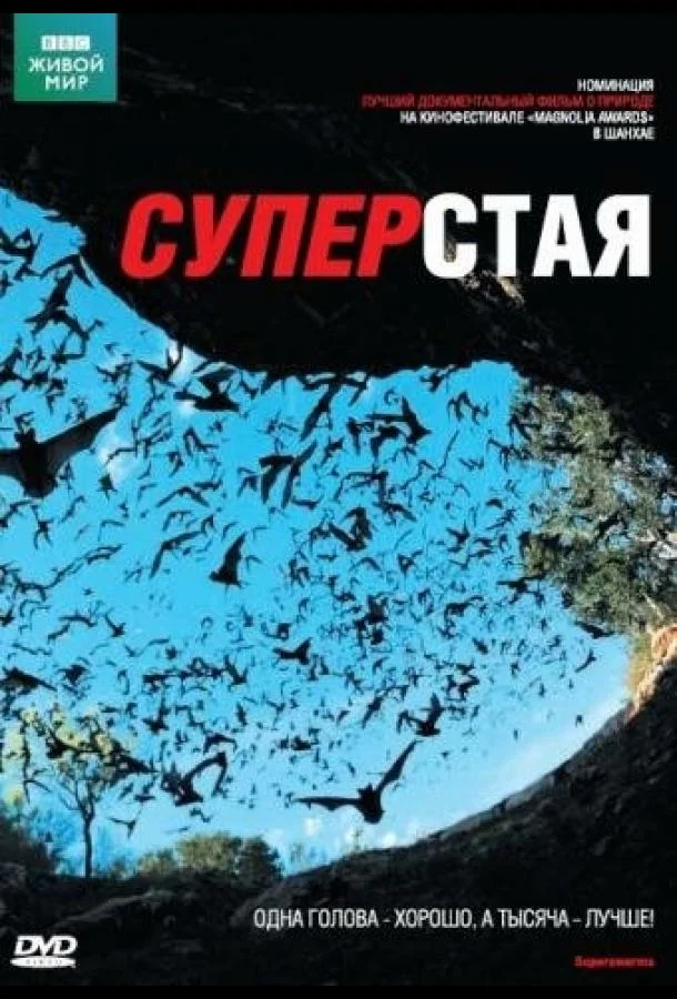 Смотреть Сериал BBC: Суперстая(2009) бесплатно