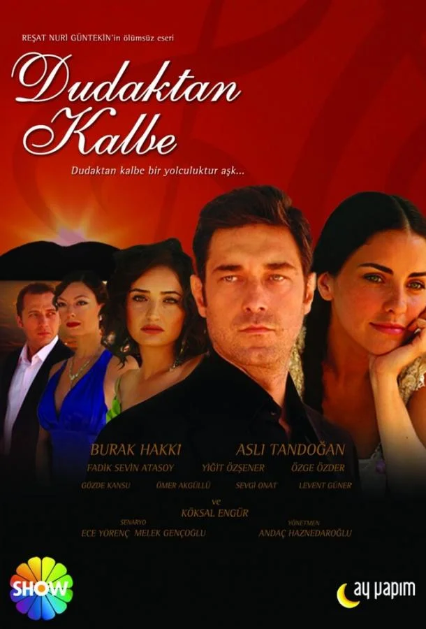 Смотреть Сериал Симфония любви(2007) бесплатно