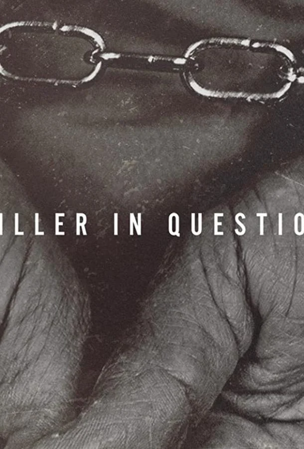 Смотреть Сериал Killer in Question(2020) бесплатно