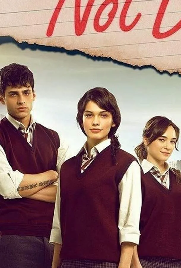 Смотреть Сериал Дневник памяти(2014) бесплатно