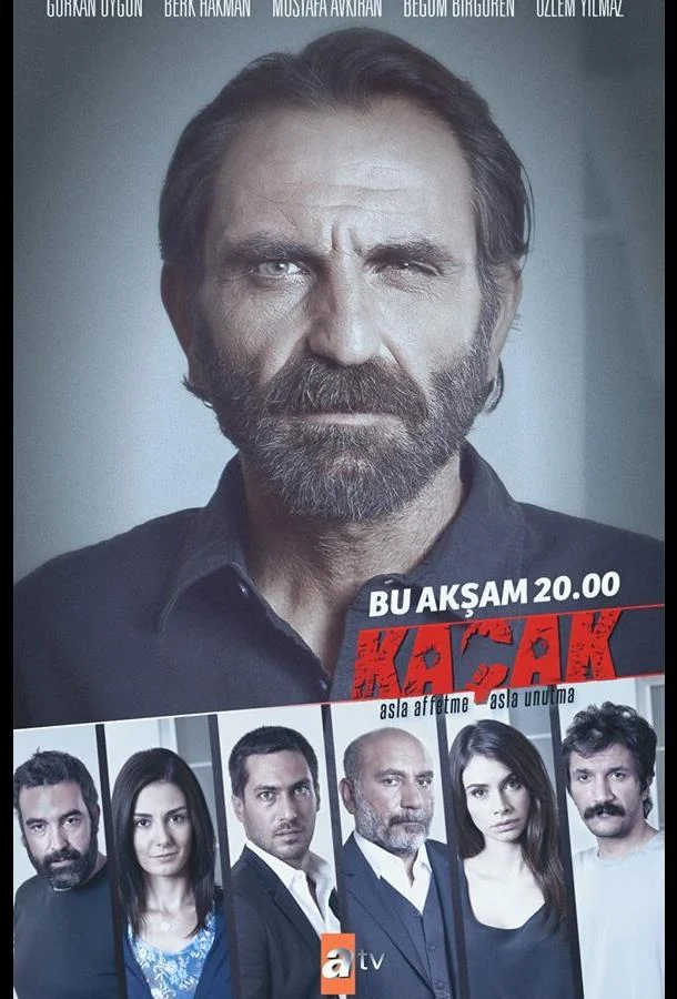 Смотреть Сериал Беглец(2013) бесплатно