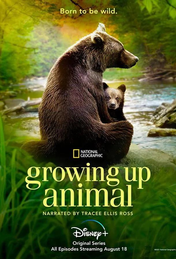 Смотреть Сериал Взрослеющее животное(2021) бесплатно