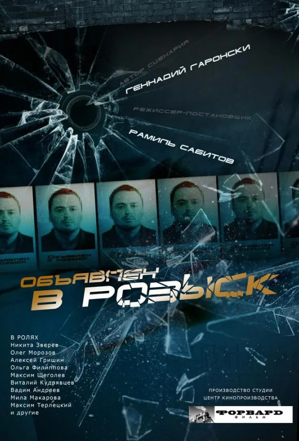 Смотреть Сериал Объявлен в розыск(2010) бесплатно