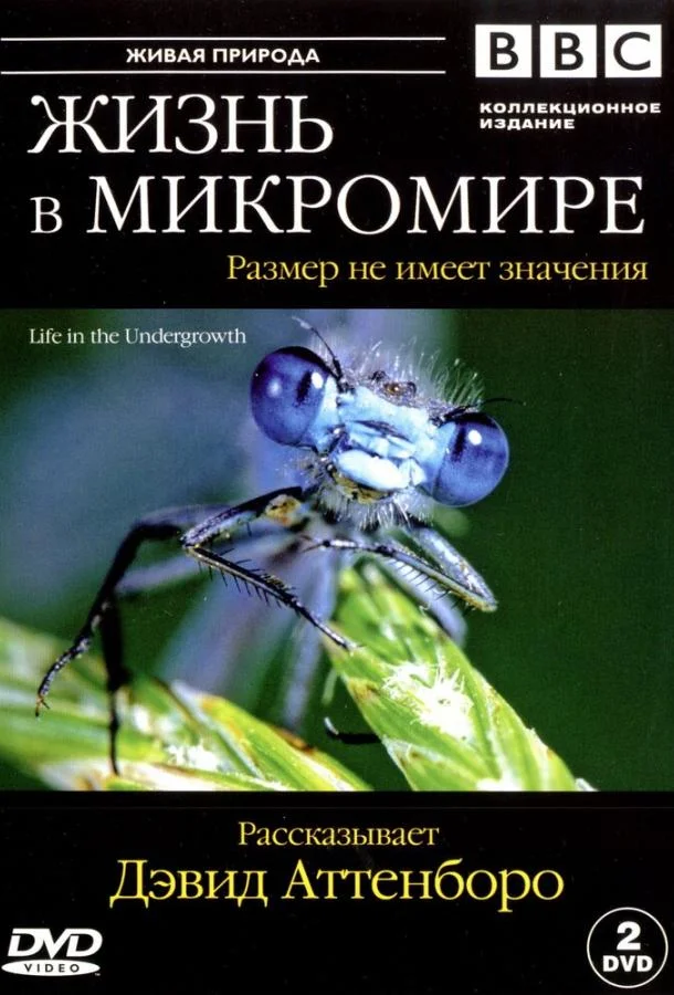 Смотреть Сериал BBC: Жизнь в микромире(2005) бесплатно