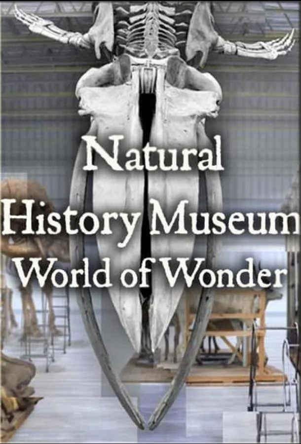Смотреть Сериал Natural History Museum: World of Wonder(2021) бесплатно