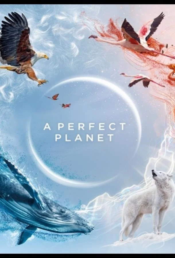 Смотреть Сериал Идеальная планета(2021) бесплатно