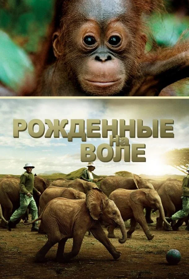 Смотреть Фильм Рожденные на воле(2011) бесплатно