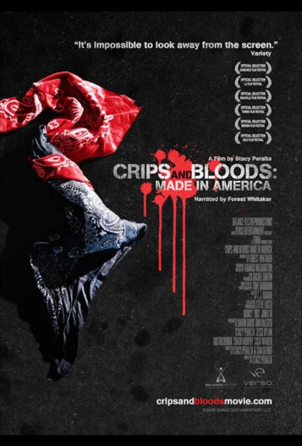 Смотреть Фильм Сделано в Америке(2008) бесплатно